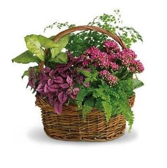 SECRET GARDEN BASKET