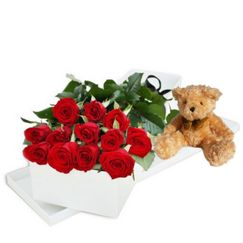12 RED ROSES - ONE DOZEN RED ROSES BOXED WITH TEDDY BEAR
