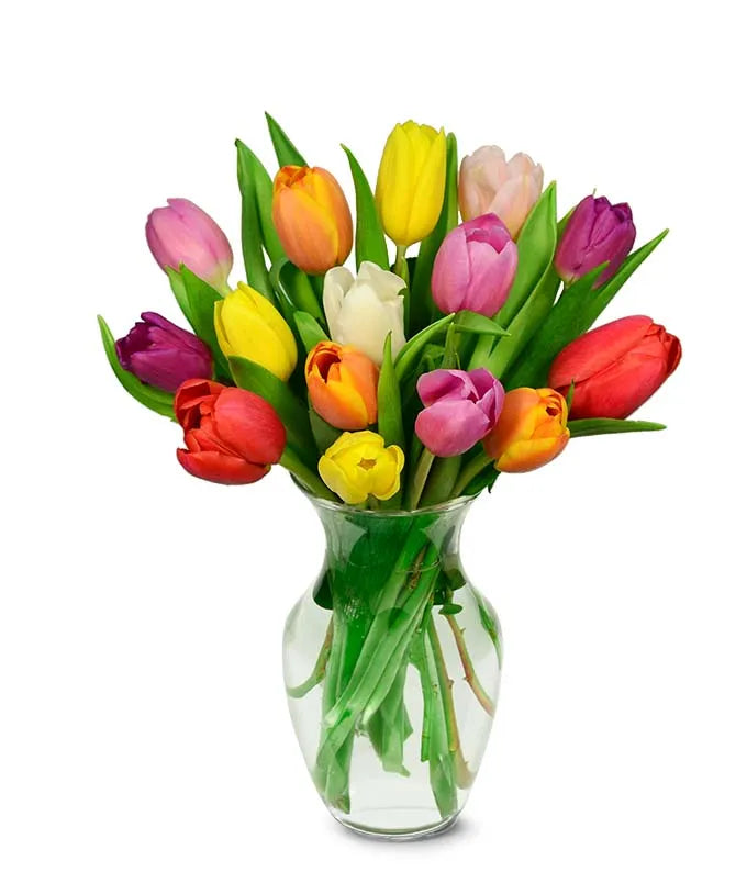 SWEPT AWAY RAINBOW TULIP BOUQUET - 15 STEMS