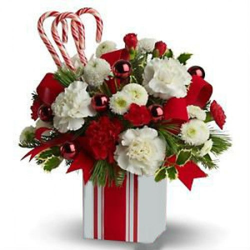 CANDY CANE LANE BOUQUET