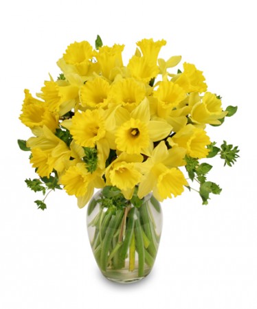 DANCING DAFFODILS BOUQUET