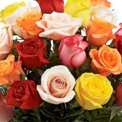 12 ASSORTED ROSES - MAGICAL MOMENTS - ONE DOZEN ASSORTED ROSES BOUQUET