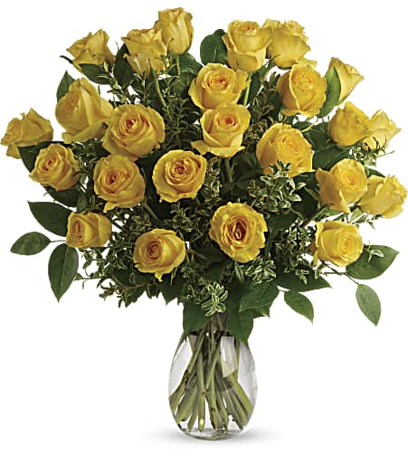 TWO DOZEN YELLOW ROSES