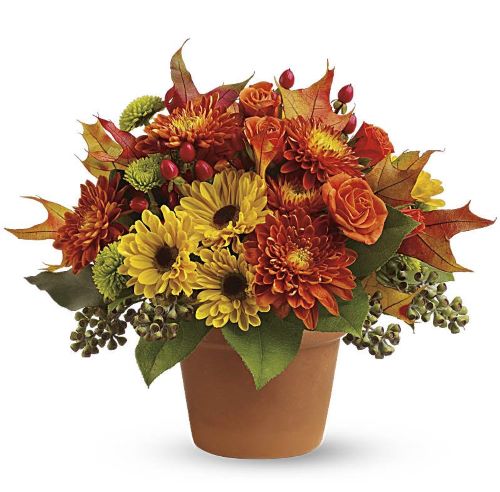 SUGAR MAPLES BOUQUET