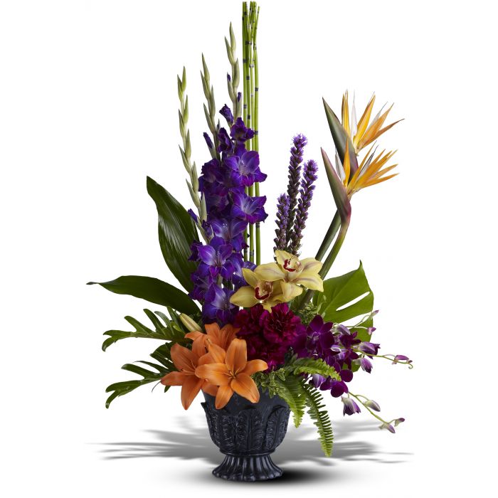 PARADISE BLOOMS TRIBUTE